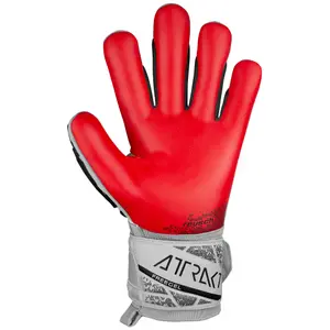 Luvas de guarda-redes para crianças Reusch Attrakt Freegel Silver image-1