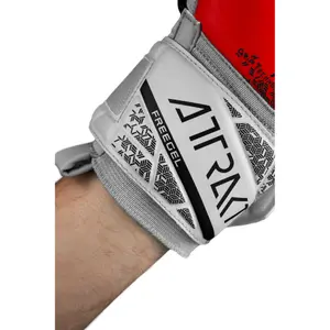 Luvas de guarda-redes para crianças Reusch Attrakt Freegel Silver image-6