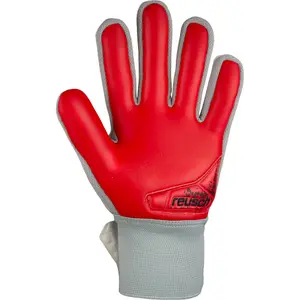 Kapus kesztyű Reusch Attrakt Starter Grip image-3