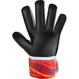 Kapus kesztyű Reusch Attrakt Solid image-2