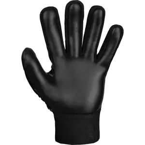 Kapus kesztyű Reusch Attrakt Starter Solid Finger Support image-3