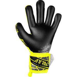 Goalkeeper Gloves Reusch Attrakt Freegel image-1