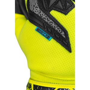 Goalkeeper Gloves Reusch Attrakt Freegel image-5