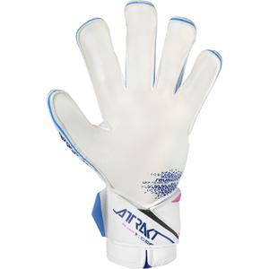 Goalkeeper gloves Reusch Football Attrakt Evolution image-1