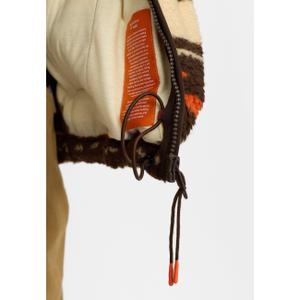 Polar Revolution image-4