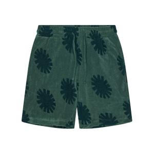 4063-green-korte-revolution-terry-groene