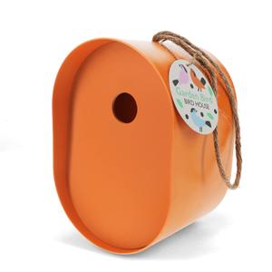 product/r/e/rex-london-31082-orange-5.jpg