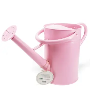 Gießkanne aus verzinktem Stahl Rex London image-1