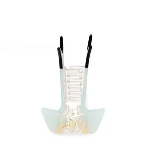 Pince à cheveux enfant Rex London Parakeet image-3