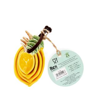 Cucharas medidoras de cerámica Rex London (x4) image-2