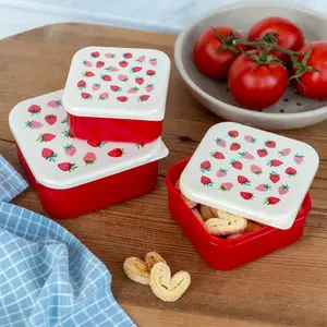 Lunch Box Strawberry Rex London (x3) image-1