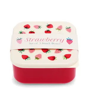 Lunch Box Strawberry Rex London (x3) image-2
