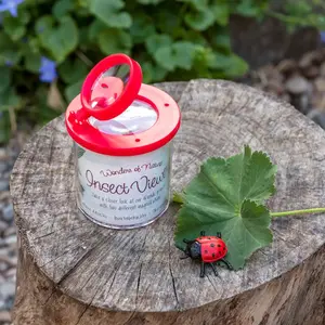 Visionneuse d'insectes wonders of nature Rex London image-2