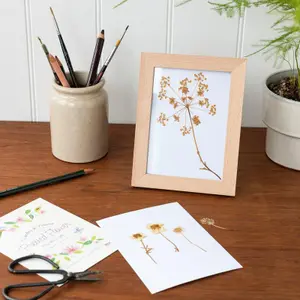 Cadre photo en bois Rex London Wonders Of Nature image-2