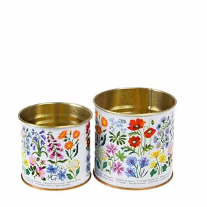 Metal storage box Rex London Wild Flowers (x2)