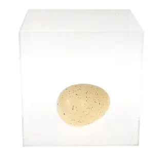 Giant ecouver fairy egg figurine Rex London Fairies In The Garden image-3