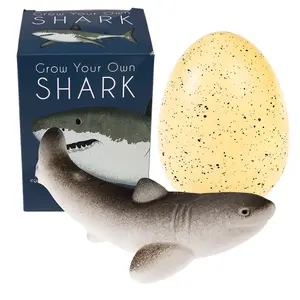 Giant shark egg figurine Rex London Sharks image-4