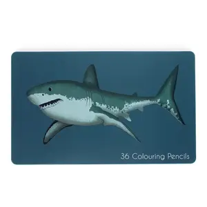 Barnens färgpennor Rex London Requins (x36) image-2