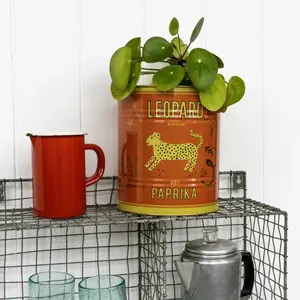 Aufbewahrungsbox Rex London Leopard (x2) image-5