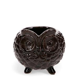 30727-owl-planter-rex-london-brown-11x11x10-2-cm