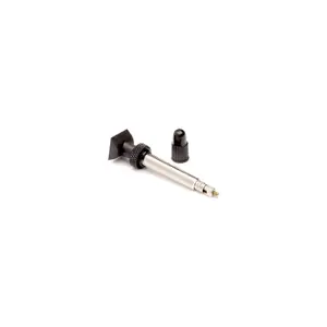 Tubeless valve Reynolds image-0
