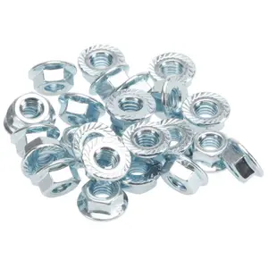 Nut RFX M10 (x25) image-0