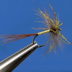 Hull of 3 flies Ragot mai 98 image-0