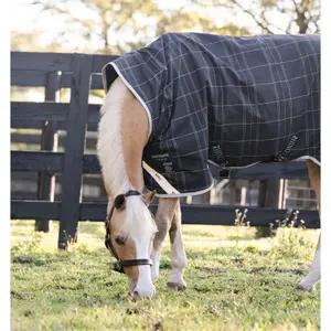 Outdoor  Blanket Rhino Wug Pony Vari-Layer 250g image-1