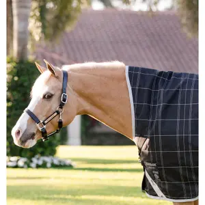 Outdoor  Blanket Rhino Wug Pony Vari-Layer 250g image-2