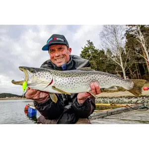 Leurre Rhino Diamond Sandeel – 12g image-4