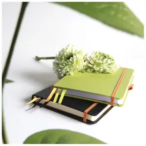 Blok techniczny 240 stron z tłoczonego papieru ecru Rhodia goalbook Creation image-4