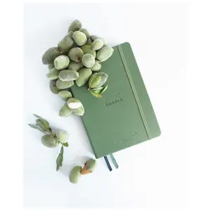 Notatnik z 160 stronami, z twardą gumką  Rhodia goalbook Creation image-1