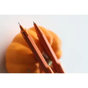 Matita meccanica Rhodia Writing scRipt image-5