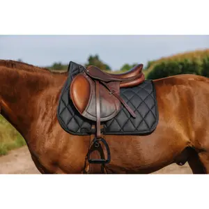 Σέλας για άλογο Riding World School image-2