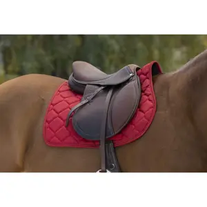Σέλας για άλογο Riding World Rope image-1