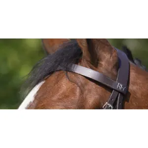 Hoofdstellen Riding World Muserolle Française image-2