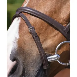 Hoofdstellen Riding World Muserolle image-1