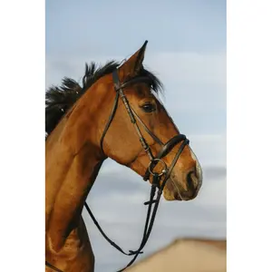 Σέσουλα ιππασίας με συνδυασμένη μασέλα Riding World image-0