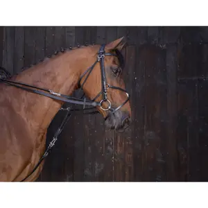 Σέλλες για άλογο με γόγγο από δέρμα Riding World image-0