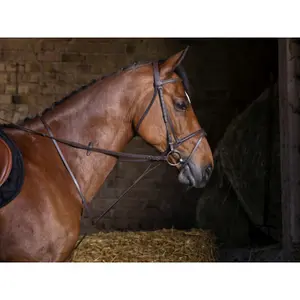 Feste Martingale Riding World image-1