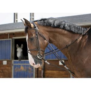 306396018-gogue-para-cavalo-riding-world-havana