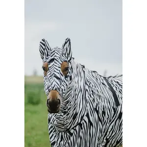 Καπέλο αντιαερίων για άλογο Riding World image-1