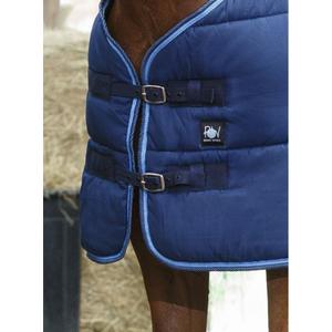 product/r/i/riding-world_400505740_2.jpg