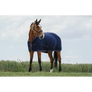 product/r/i/riding-world_400701060_marine_3.jpg