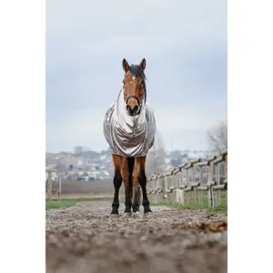 Αντιεξωτική μπλούζα για άλογα Riding World image-2