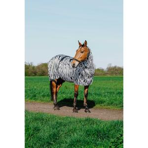 product/r/i/riding-world_400708043_zebre_3.jpg