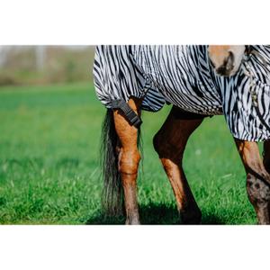 product/r/i/riding-world_400708043_zebre_4.jpg