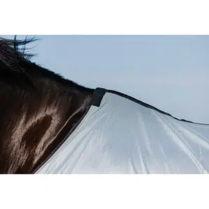 Μπλούζα για άλογο Riding World Belly Mesh image-5