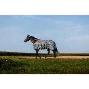 Μπλούζα για άλογο Riding World Belly Mesh image-2