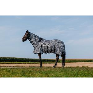 product/r/i/riding-world_400726056_zebre_2.jpg